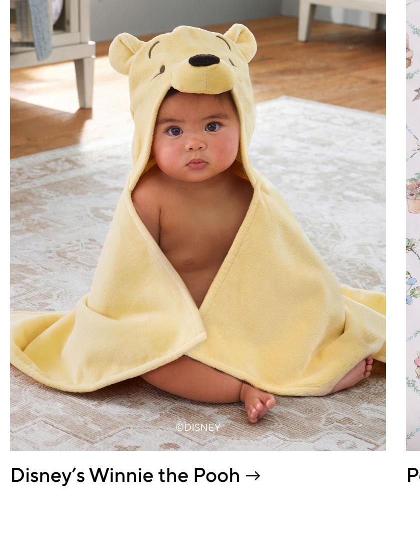 Disney's Winnie the Pooh